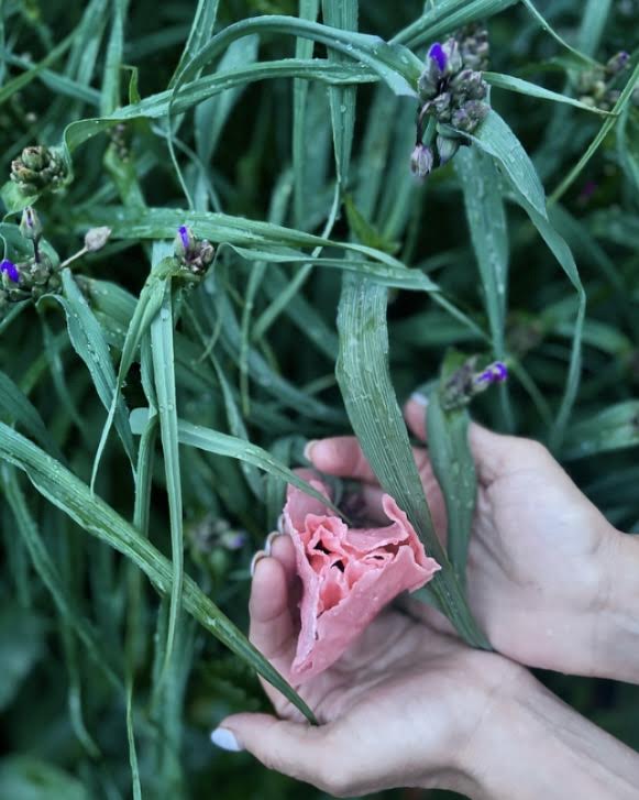 Spring Poppies Are&nbsp;Popping!